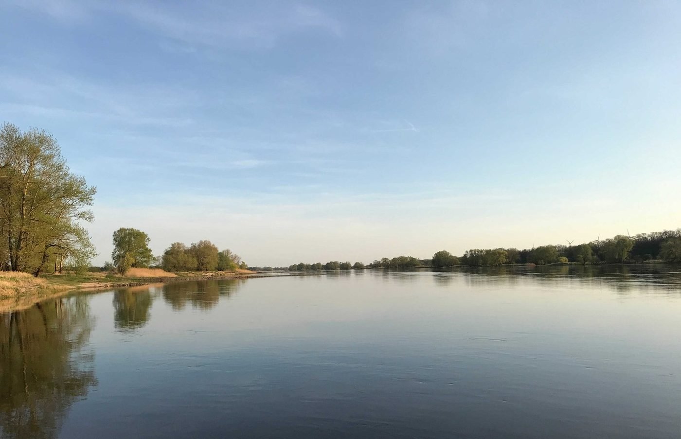 Die Elbe bei der Gierseilfähre Neuermark–Arneburg